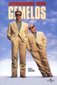 Los gemelos golpean dos veces