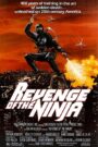 La venganza del Ninja