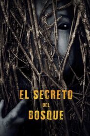El secreto del bosque