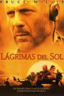 Lágrimas del Sol