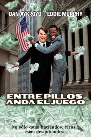 De mendigo a millonario