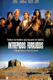Jóvenes pistoleros II