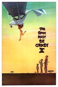 Los dioses deben estar locos 2