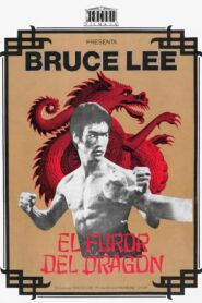 El furor del Dragón