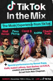 TikTok: In the Mix