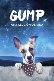 Gump – Una Lección de Vida