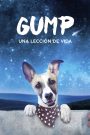 Gump – Una Lección de Vida