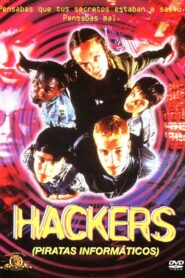 Hackers: piratas informáticos